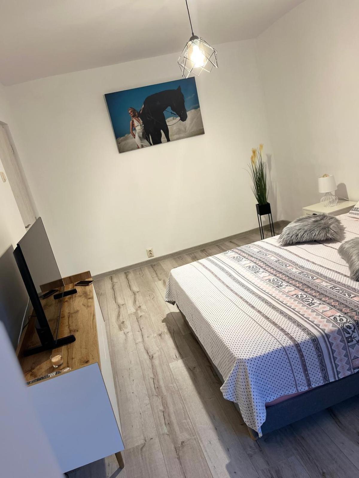 Apartament De Lux Крайова Екстериор снимка