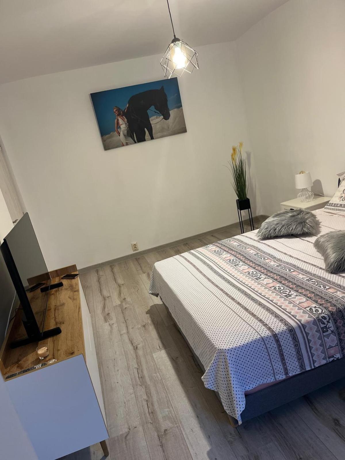 Apartament De Lux Крайова Екстериор снимка